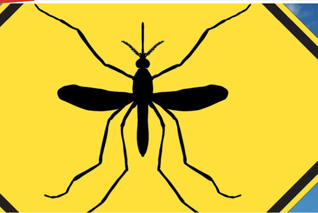 Vignette de la médiation Ciel d'Abitibi et pattes de mouche