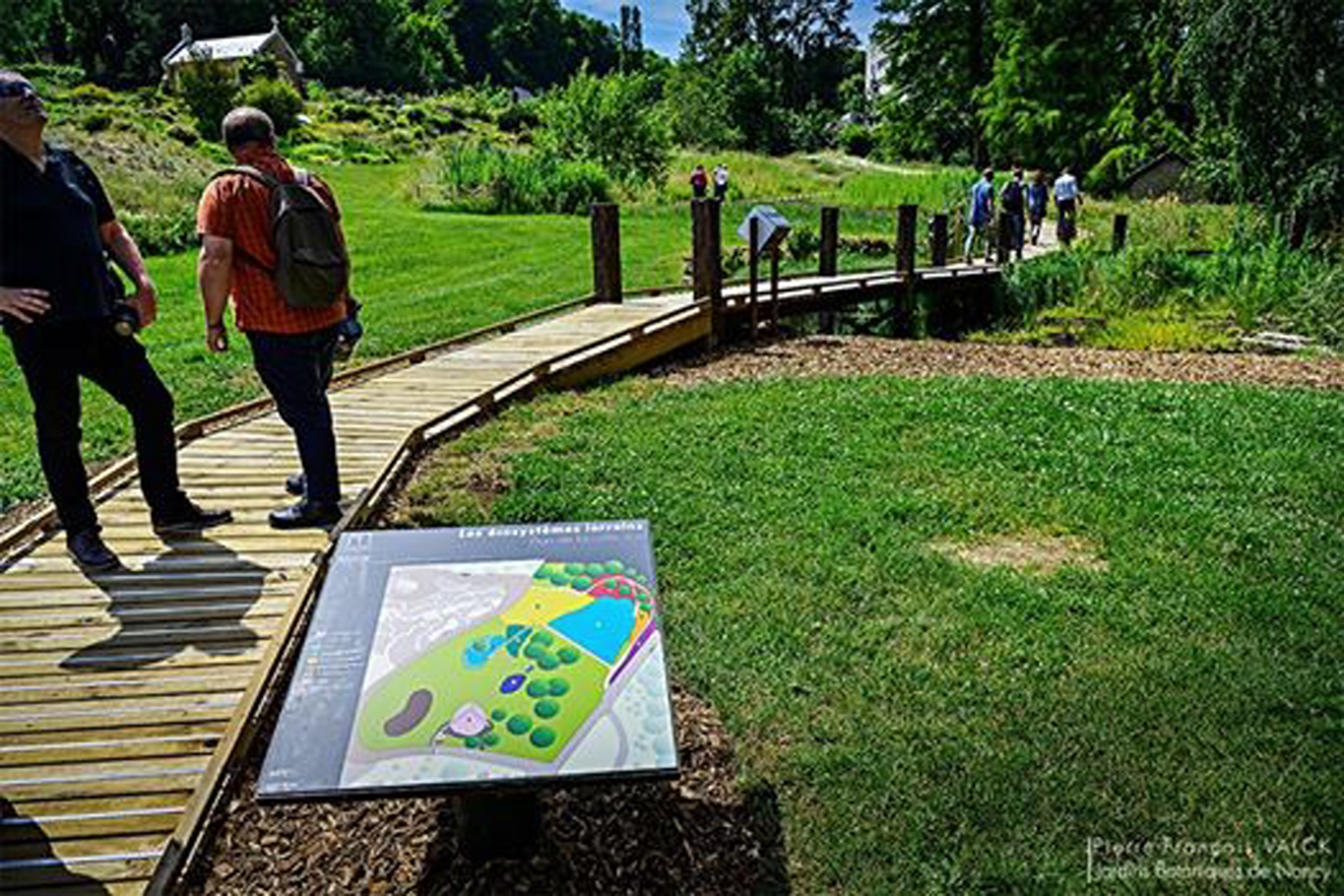 illustration-visite-guidee-du-secteur-ecosystemes-lorrains-du-jardin-botanique_1-1568118490.jpg