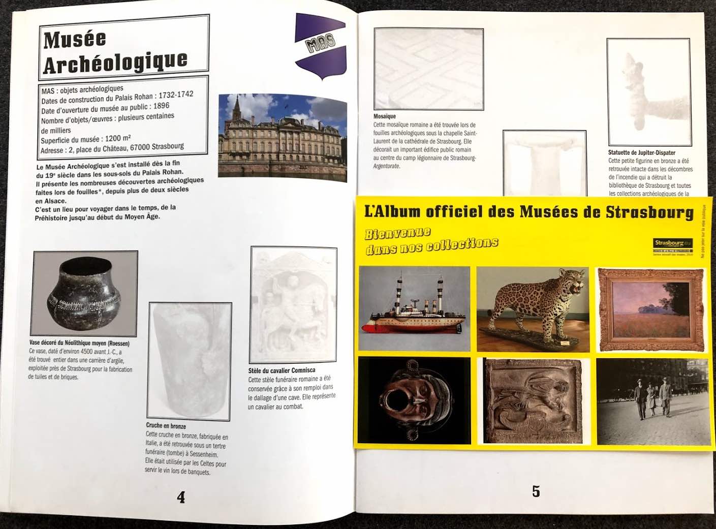 Album Panini Strasbourg 3