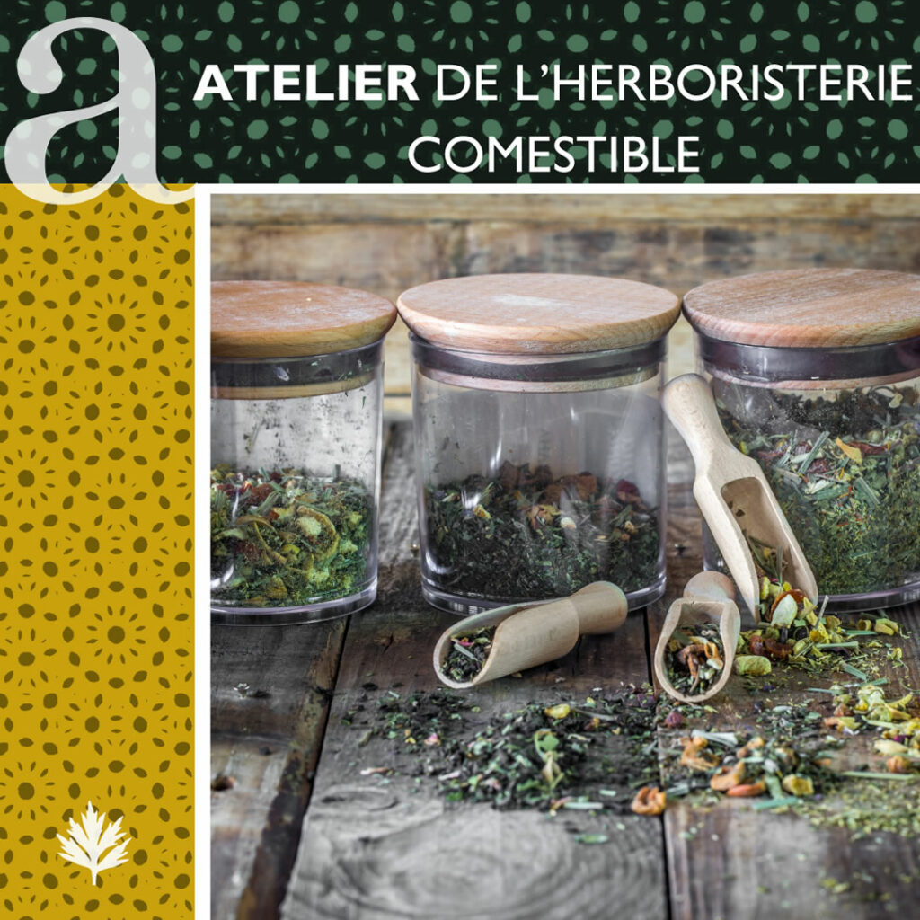 atelier herboristerie comestible 1024x1024