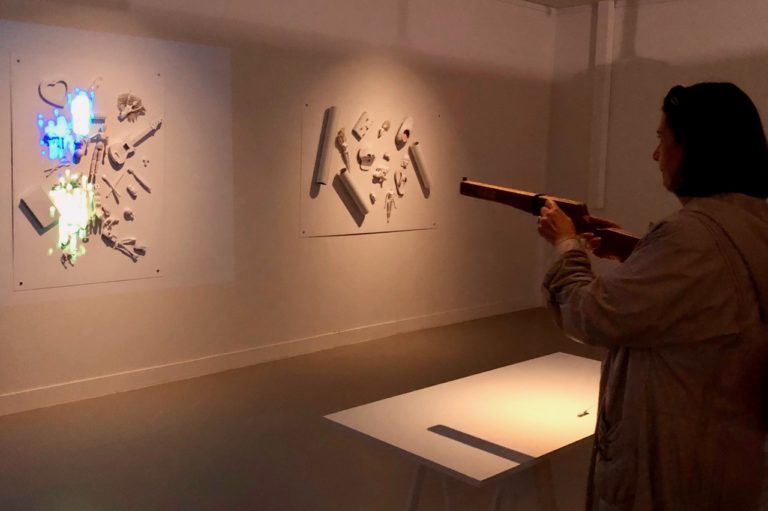 Exposition Niki de Saint Phalle, Shooting, projet interactif