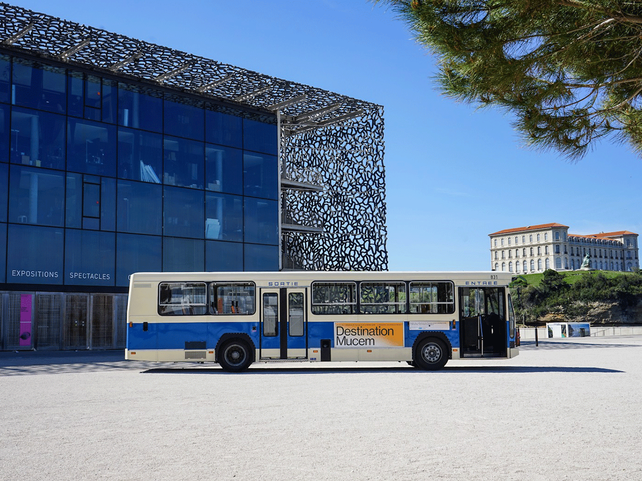 mucem julie cohen