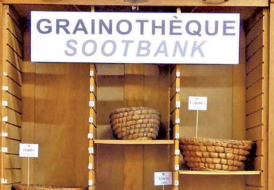 pdm grainotheque 1