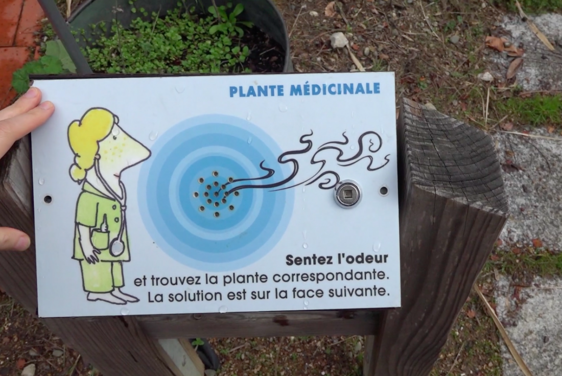 Vignette de la médiation Parcours « Sentez » au Jardin botanique