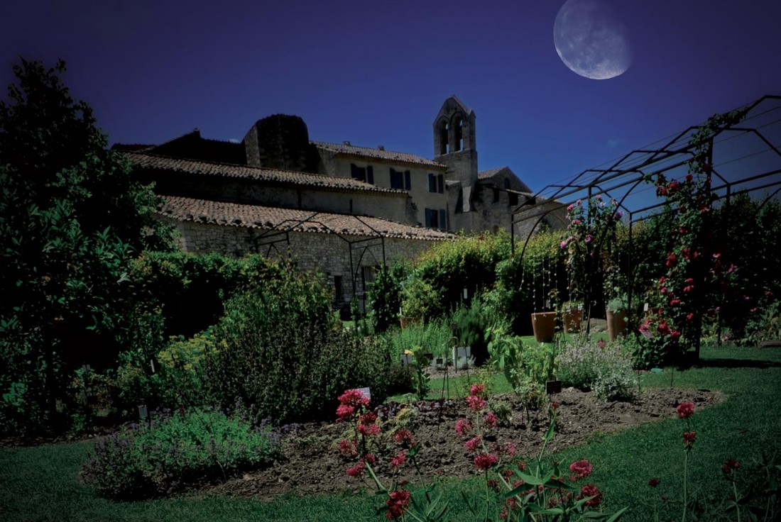 Vignette de la médiation Visite nocturne du jardin des senteurs