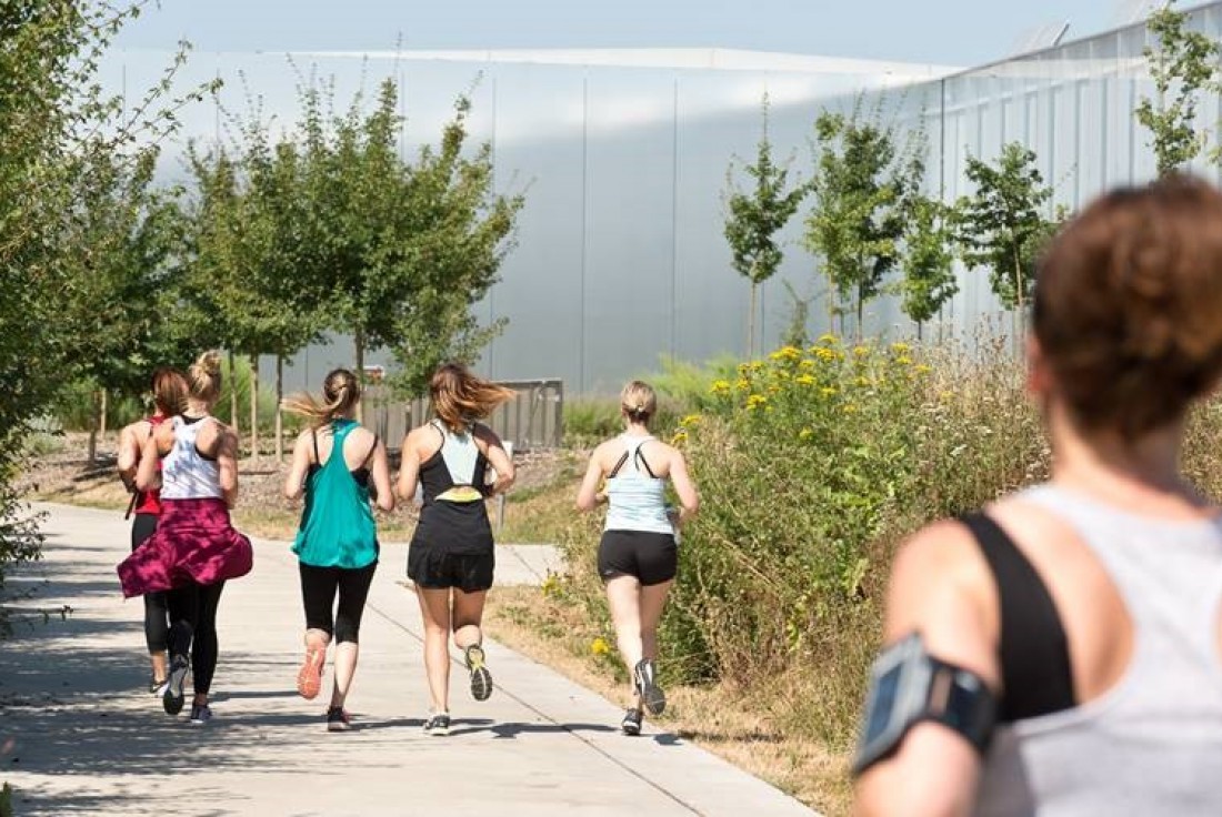 Vignette de la médiation Visites sportives