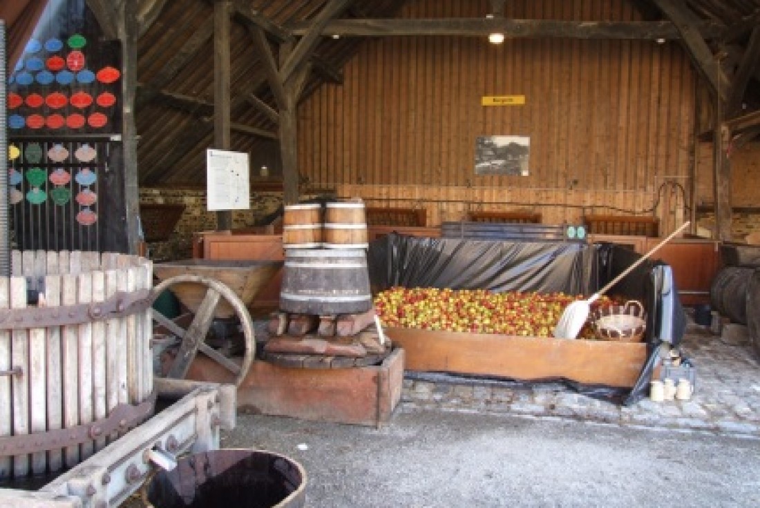 Vignette de la médiation On se tient au jus… de pommes?