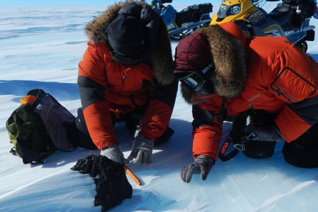 Vignette de la médiation Family Day Antarctica