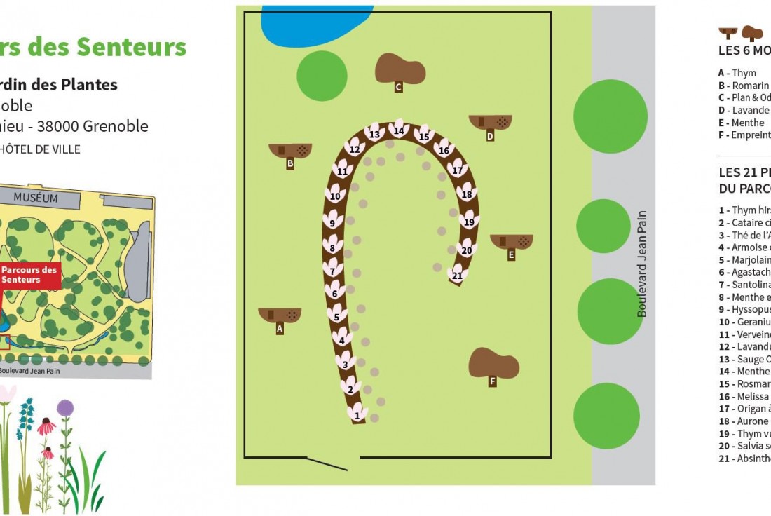 Vignette de la médiation La Chenille aux senteurs