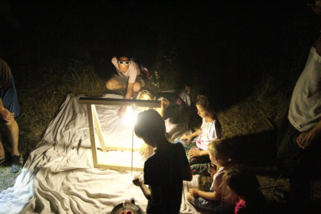 Vignette de la médiation Venez à la rencontre des insectes de la nuit