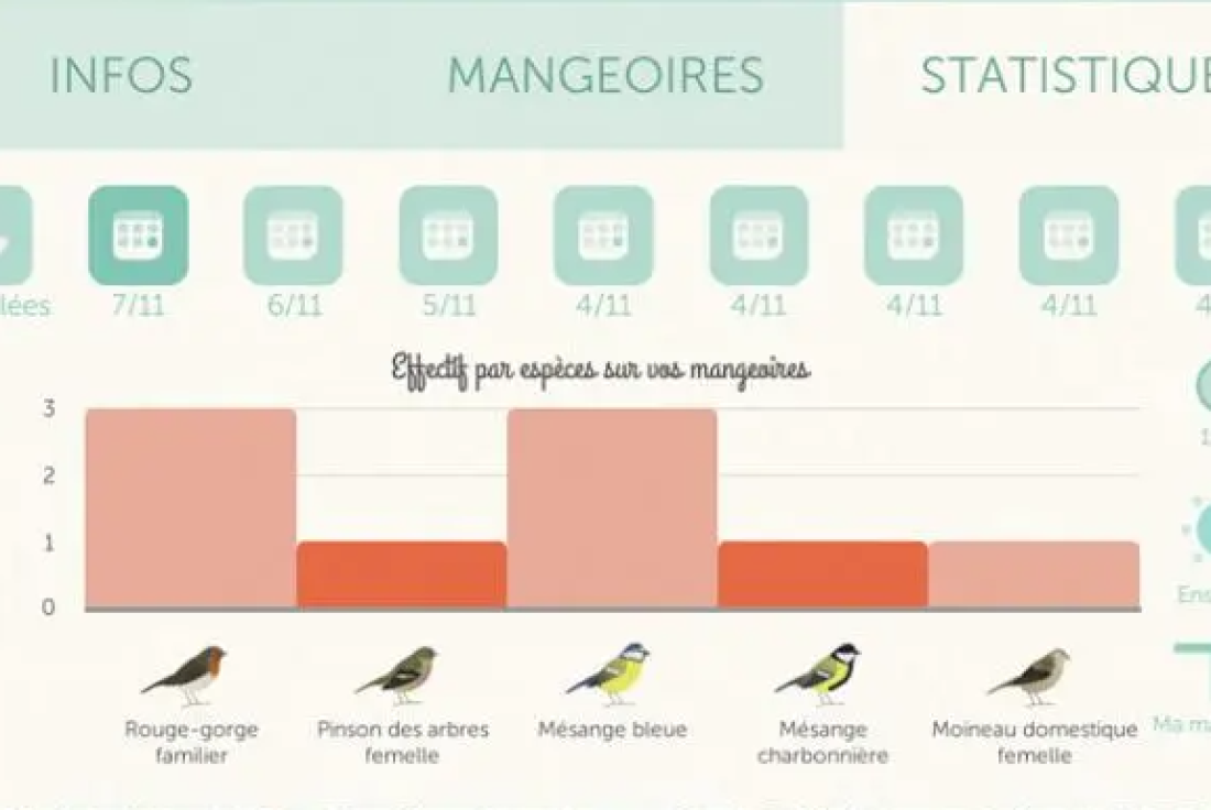 Vignette de la médiation BirdLab