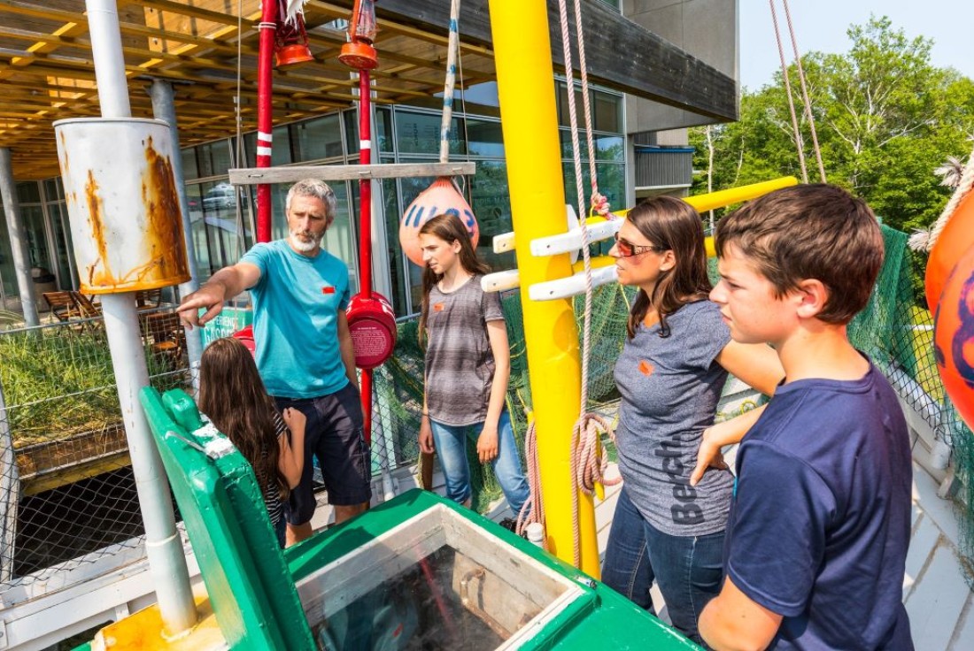 Vignette de la médiation La Gaspésienne no 20 – Partez en mer