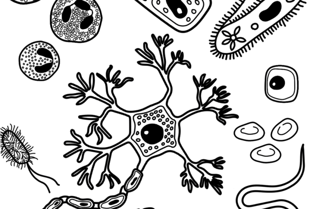 Vignette de la médiation Le cancer c'est tabou, on en viendra tous à bout !