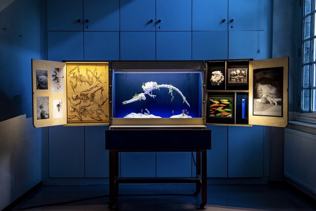 Vignette de la médiation Le musée valise « La Mer imaginaire »