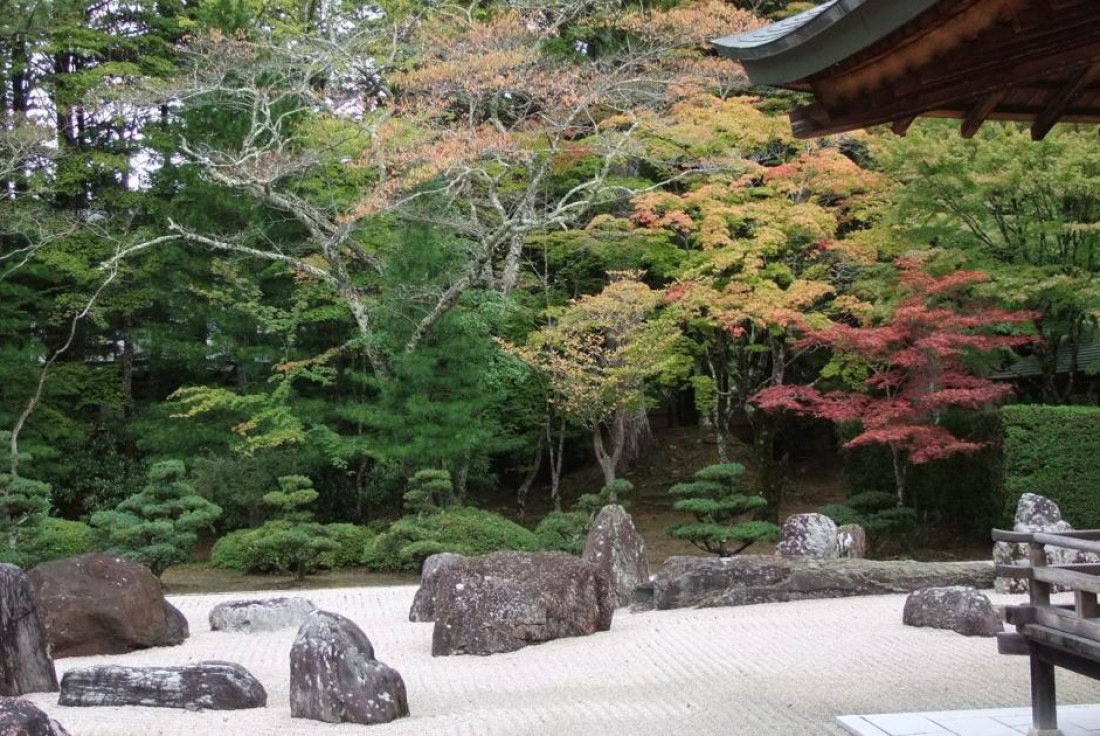 Vignette de la médiation Jardin sur un plateau