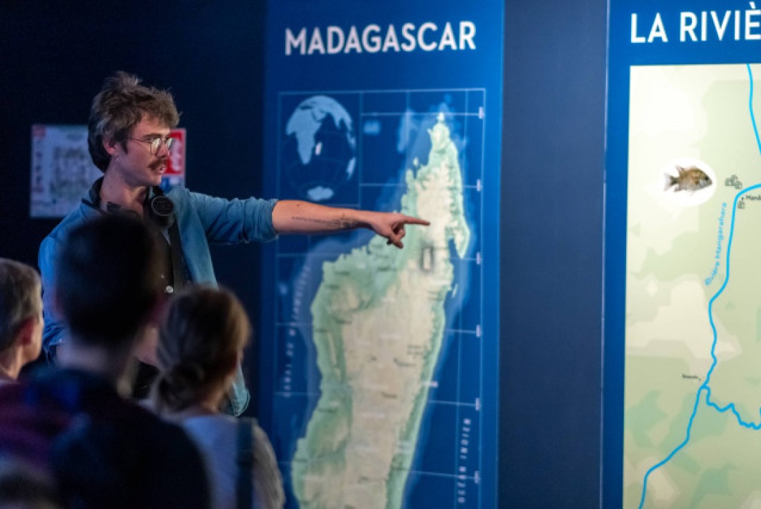 Vignette de la médiation Apprenez à sauver une espèce à l’Aquarium tropicale !