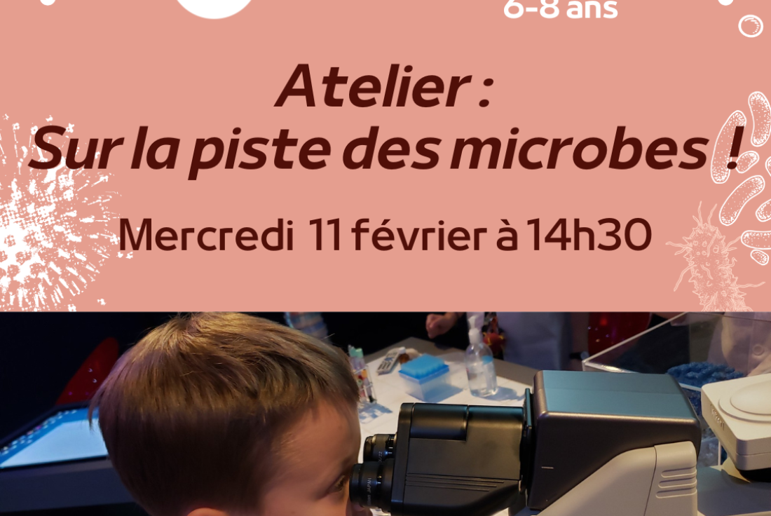 Vignette de la médiation Atelier - Sur la piste des microbes (Marcy L'Etoile - 69280)