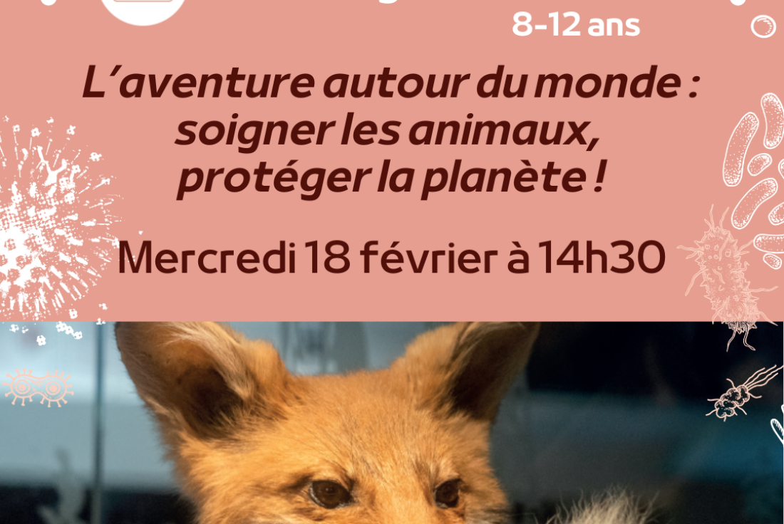 Vignette de la médiation Visite guidée : L'aventure autour du monde - soigner les animaux, protéger la planète !
