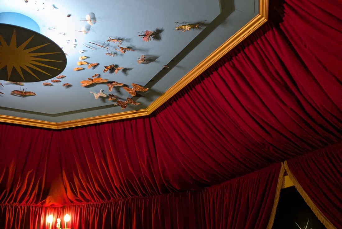 Vignette de la médiation L'opéra des insectes