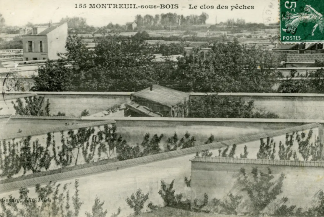 Vignette de la médiation Montreuil à travers le temps