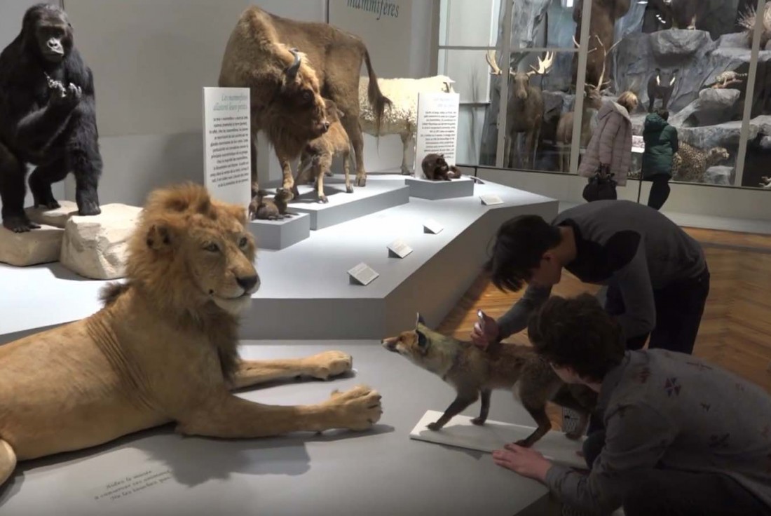 Vignette de la médiation Filmer au musée : Récits d'expériences