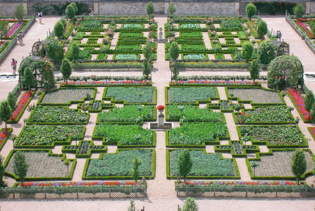 Vignette de la médiation Le bio au jardin