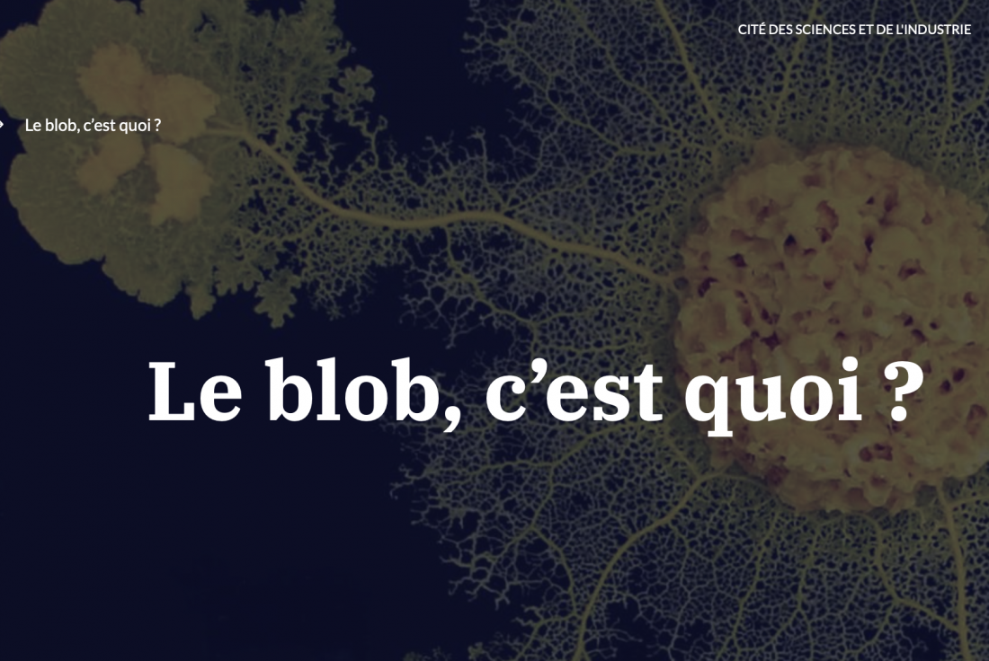 Vignette de la médiation Le Blob, l'extra-media